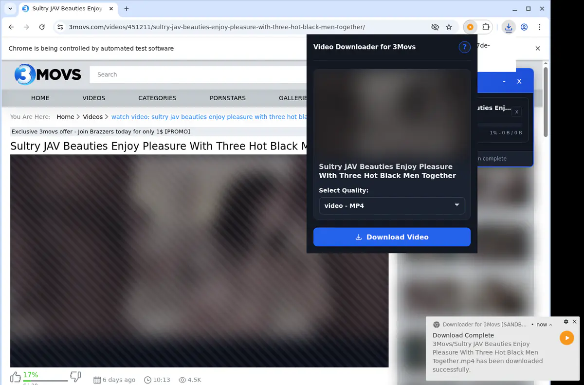 3movs Video Downloader browser extension screenshot 3