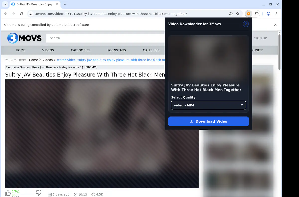 3movs Video Downloader browser extension screenshot 4